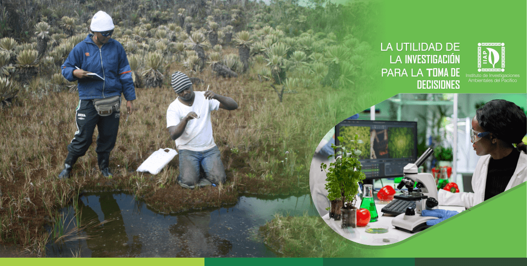 Banner Visión de Desarrollo IIAP